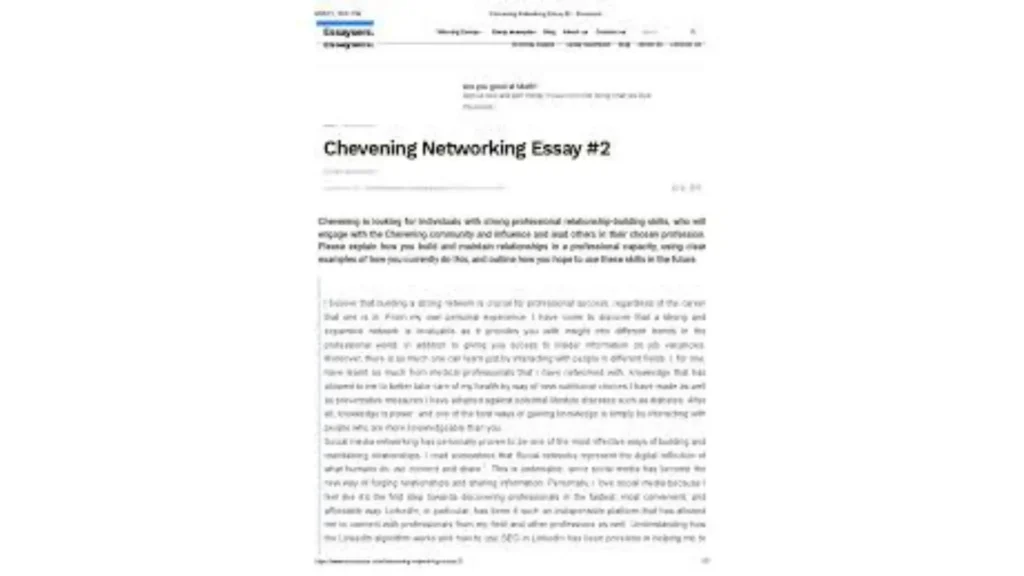 Essay section screenshot with annotations